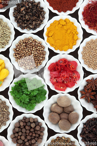 Image of Spices and Herbs