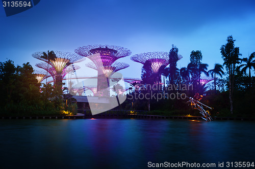 Image of Gardens by the Bay in Singapore at Dusk