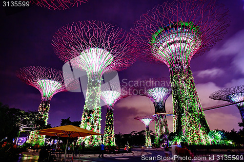 Image of Colorful Towers of Gardens by the Bay in Singapore at Night