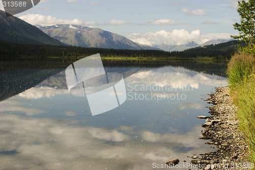 Image of Summer Alaskan Landscape