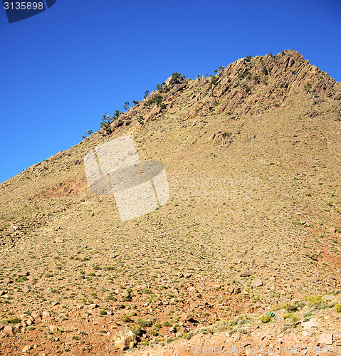 Image of the    dades valley in atlas moroco africa ground tree  and nobo