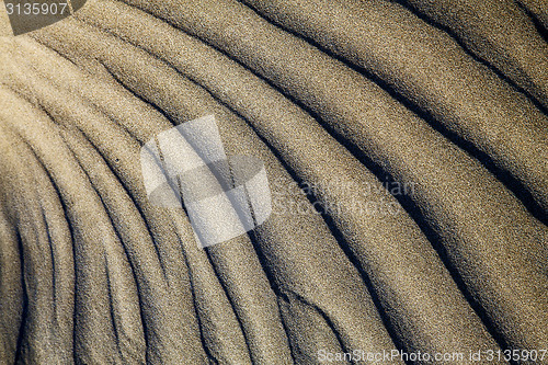Image of  abstract texture of a  dry sand and 