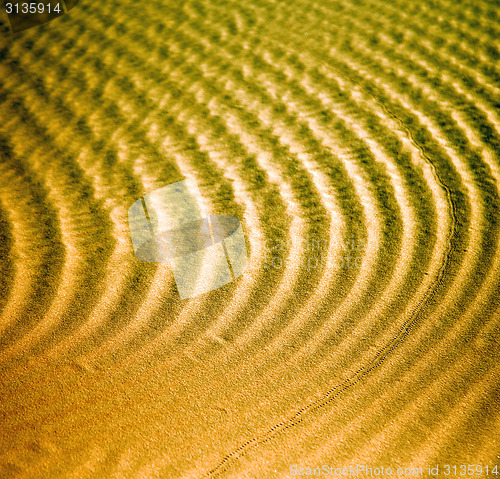 Image of africa the brown sand dune in   sahara morocco desert line