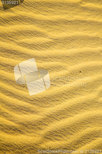Image of  brown  dune 