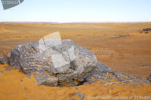 Image of  old fossil in   sky