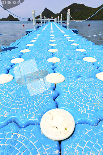 Image of plastic  coastline of a  green lagoon   thailand kho phangan   b