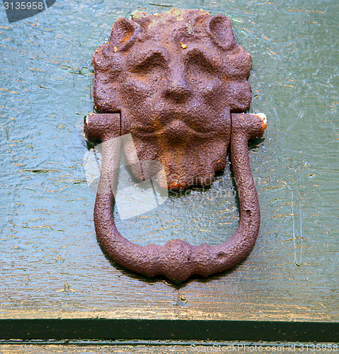 Image of abstract   brass brown knocker    closed wood door olgiate olona