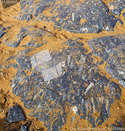 Image of  old fossil in  the desert of morocco sahara and rock  stone sky