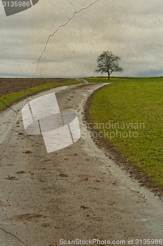 Image of tree on a way in vintage look