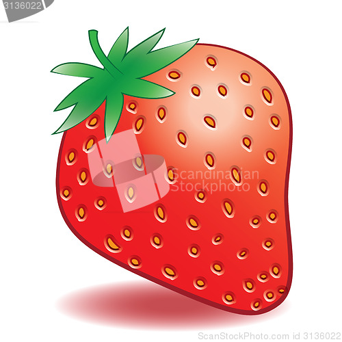 Image of Vector ripe strawberries on a white background