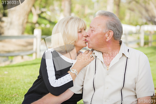 Image of Affectionate Senior Couple Portrait At The Park