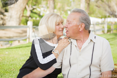 Image of Affectionate Senior Couple Portrait At The Park