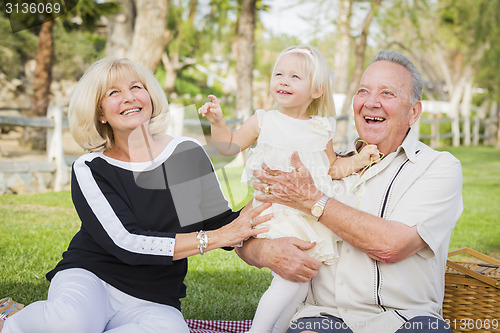 Image of Affectionate Granddaughter and Grandparents Playing At The Park