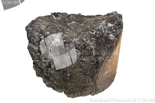 Image of burned stump isolated on white