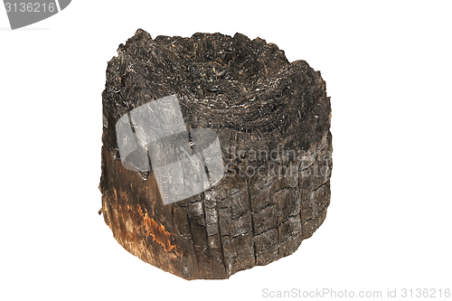 Image of burned wooden stump