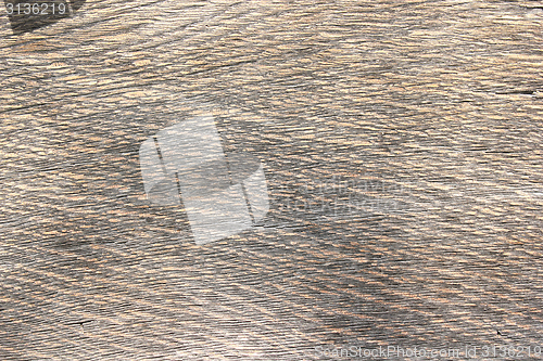 Image of textured weathered oak wood