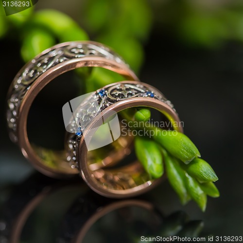 Image of Two wedding rings in infinity sign. Love concept.