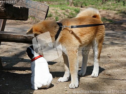 Image of Socialization