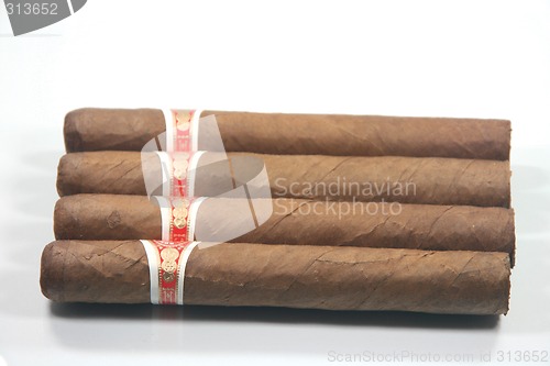 Image of havana cigars