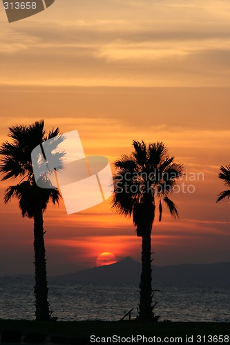 Image of tropical sun set