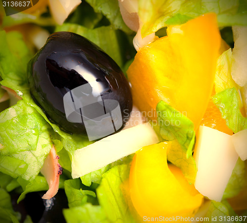 Image of Assorted salad of green leaf lettuce with squid and black olives