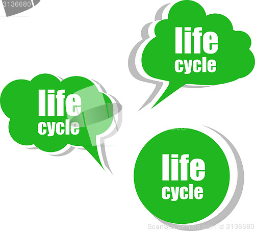 Image of life cycle. Set of stickers, labels, tags. Template for infographics