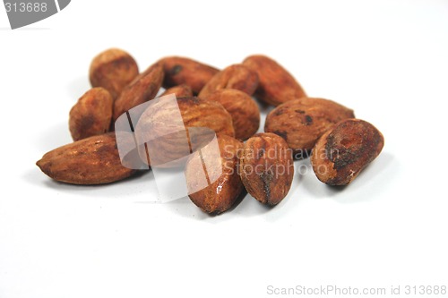 Image of roasted nuts
