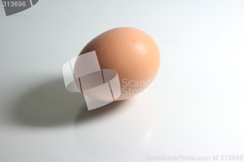 Image of egg with shadow