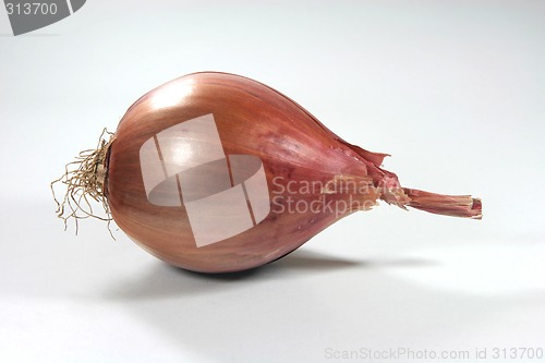 Image of dry onion