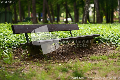 Image of Stylish bench in autumn park