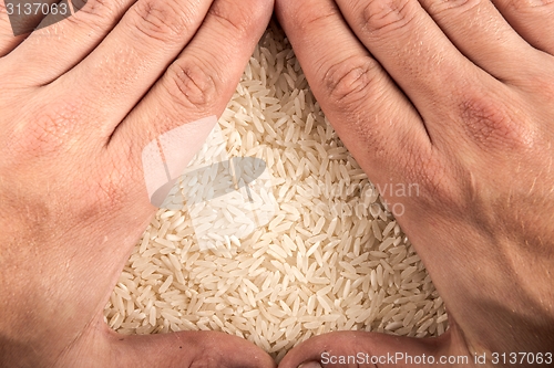 Image of White rice background