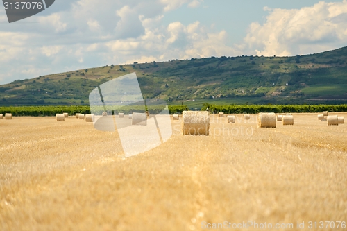 Image of Hay bails on the field