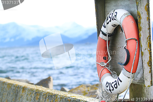 Image of Lifebuoy