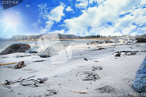 Image of Norwegian Shore