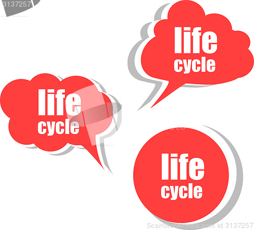 Image of life cycle. Set of stickers, labels, tags. Template for infographics