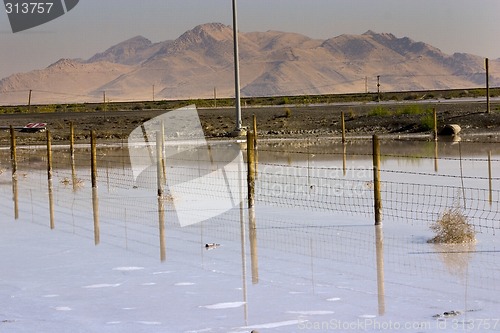 Image of Salt Lake Shore