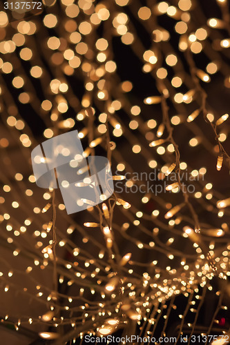 Image of Natural bokeh. Photo of holidays lights