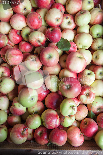 Image of background from apples
