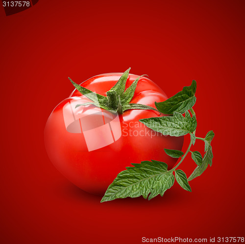 Image of tomato with green leaf on red