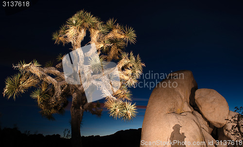 Image of Sunset Shadow Rock Formation Joshua Tree National Park