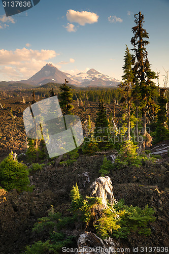 Image of Mckenzie Pass Three Sisters Cascade Mountain Range Lava Field