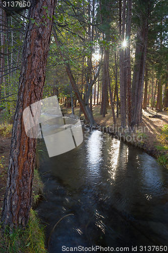 Image of Fast Moving Stream Hat Creek Lassen National Forest