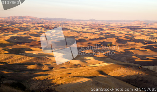 Image of Palouse Region Eastern Washington Farmland Rolling Hills Agricul