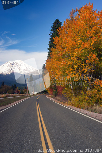 Image of Autumn Finds Foliage Rural Road McCloud California Mount Shasta