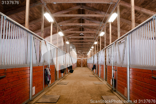 Image of Horse Barn Animal Sport Paddock Equestrian Ranch Racing Stable