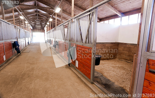 Image of Horse Barn Animal Sport Paddock Equestrian Ranch Racing Stable