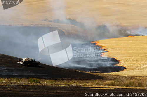 Image of Agriculture Worker Burns Plant Stalks After Harvest Ground Fire 
