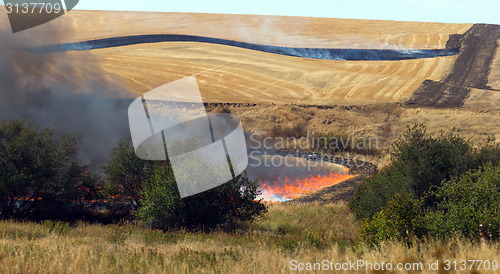 Image of Farmers Working Controlled Burn Intentional Agricultural Fire