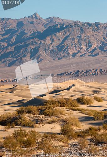 Image of Sand Dunes Death Valley Desert Mesquite Flat Grapevine Mountains