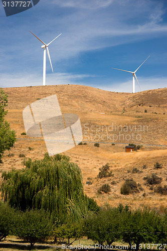 Image of Green Energy Wind Generators Dot Landscape Eastern Washington